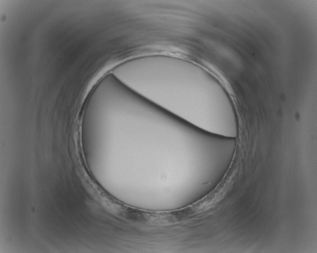 X0000083000899200702011206