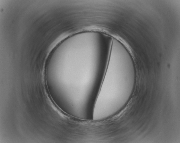 X0000083000902200702011206