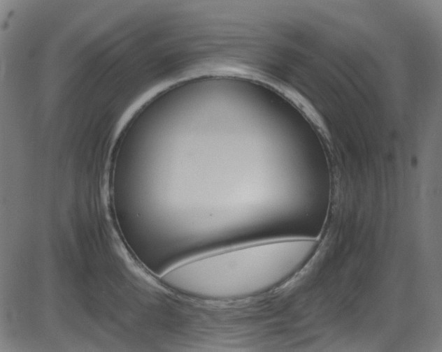 X0000083000904200702011206