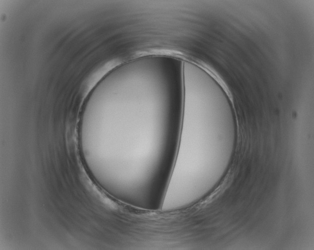 X0000083000906200702011206