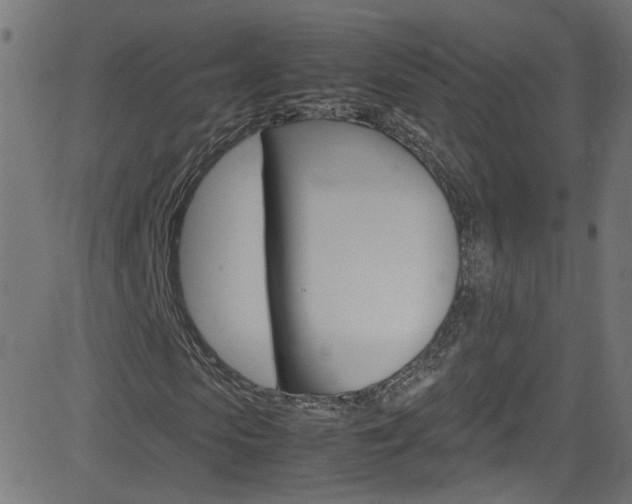 X0000083000913200702011205