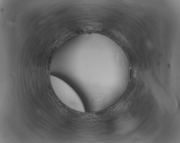 X0000083000915200702011205