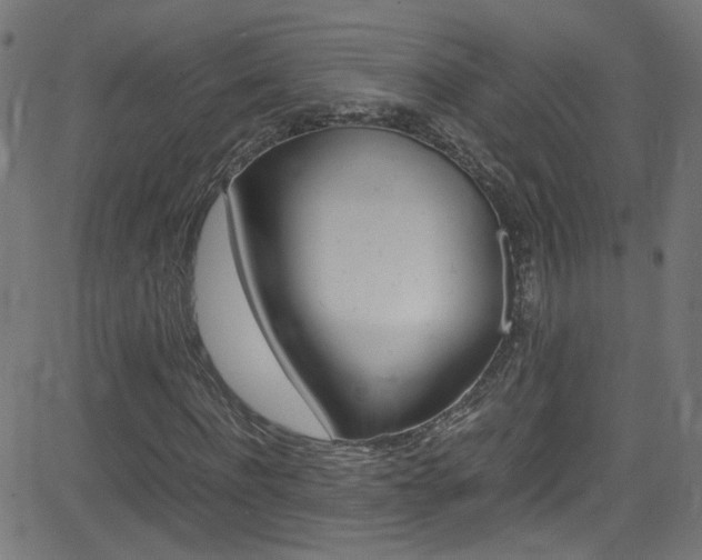 X0000083000916200702011205