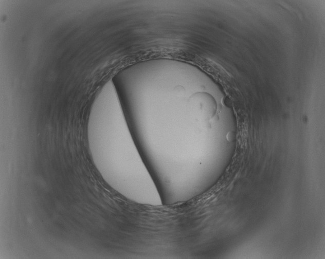 X0000083000917200702011205