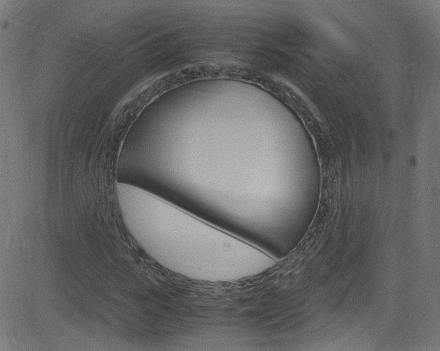 X0000083000919200702011205