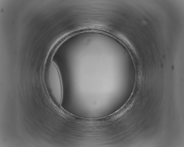 X0000083000924200702011205