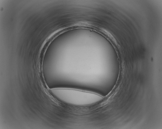 X0000083000931200702011205