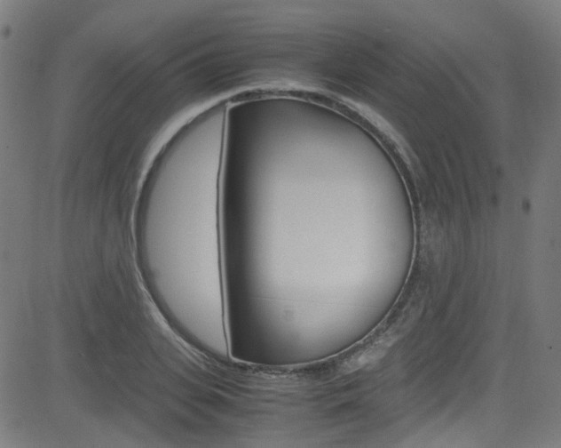 X0000083000935200702011205