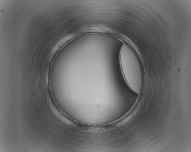 X0000083000938200702011206