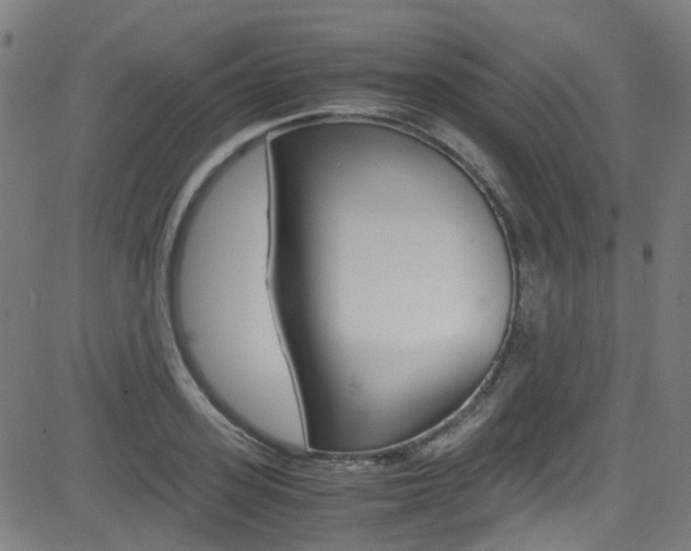 X0000083000939200702011206