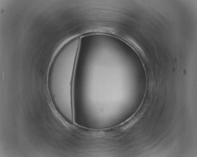 X0000083000940200702011206