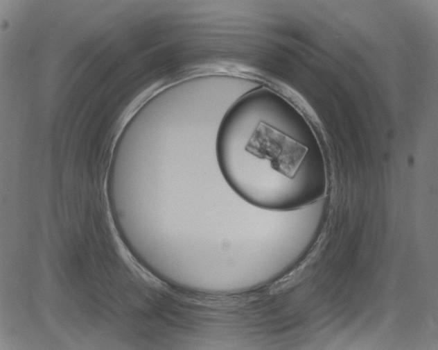 X0000083000946200702011206