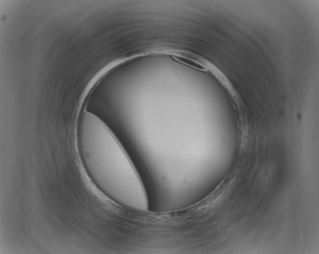 X0000083000955200702011206