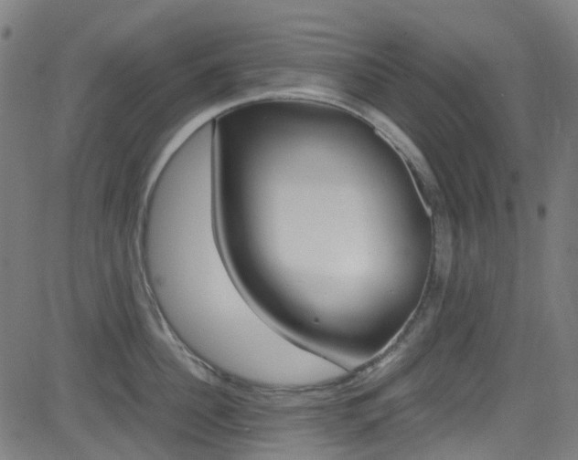 X0000083000956200702011206