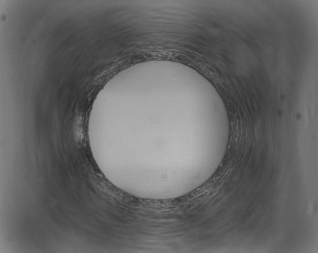 X0000083000962200702011205