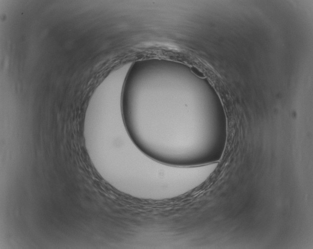 X0000083000965200702011205