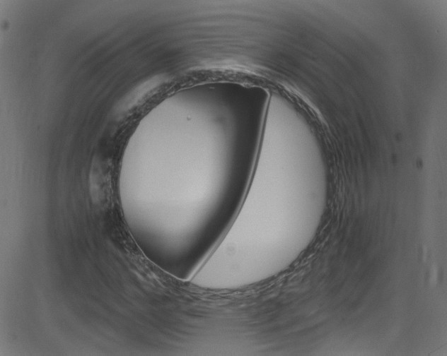 X0000083000968200702011205