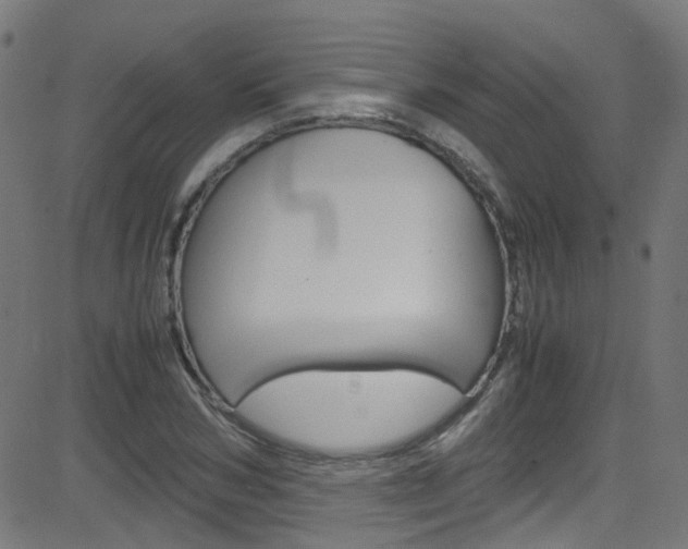 X0000083000978200702011205