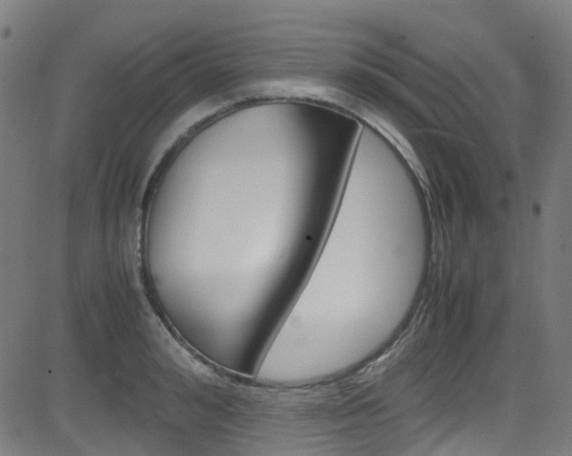 X0000083000992200702011205