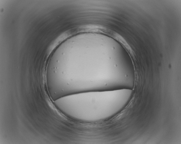 X0000083000994200702011205