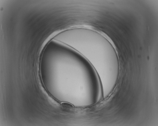 X0000083001005200702011204