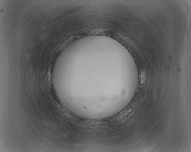 X0000083001011200702011204