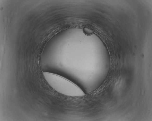 X0000083001013200702011204