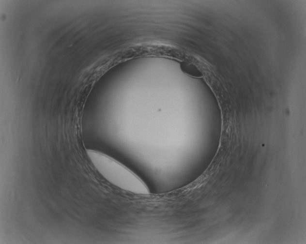 X0000083001014200702011204