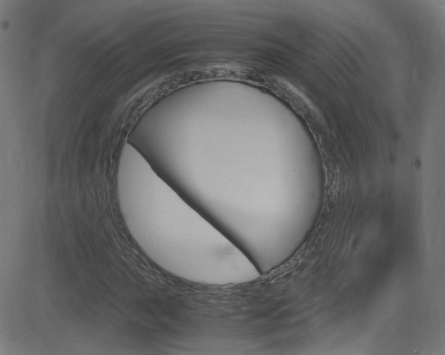 X0000083001015200702011204