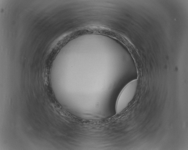 X0000083001016200702011204