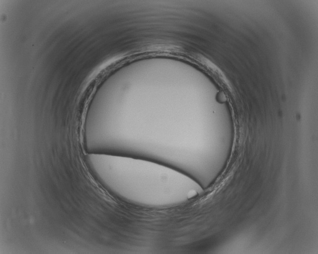X0000083001019200702011204