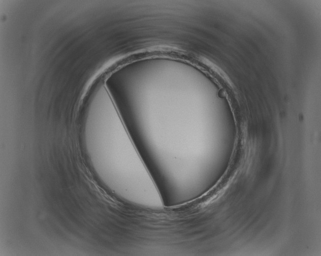 X0000083001021200702011204