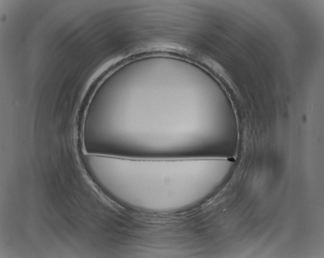 X0000083001024200702011204