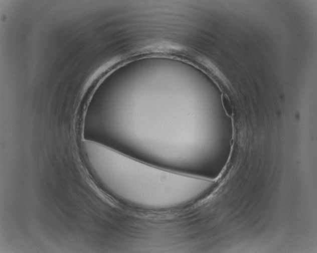 X0000083001026200702011204