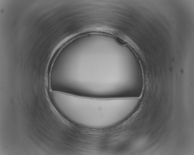 X0000083001028200702011204