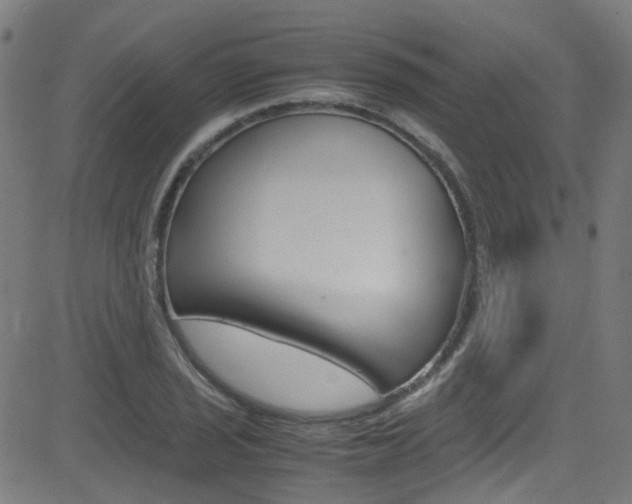 X0000083001029200702011204