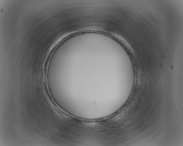 X0000083001031200702011204