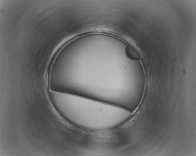X0000083001032200702011204