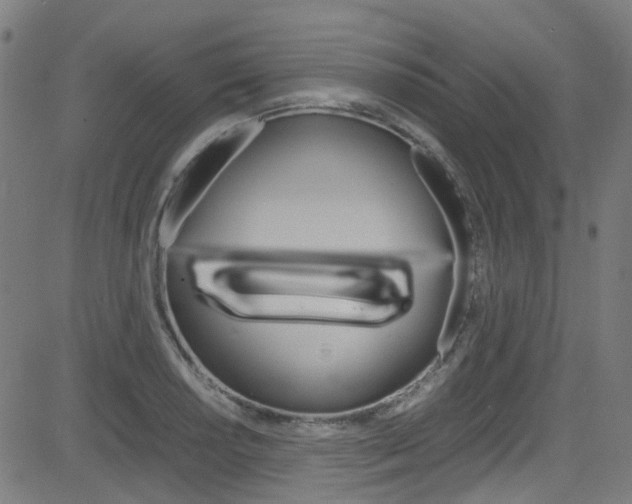 X0000083001034200702011204