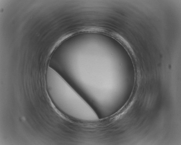 X0000083001041200702011204