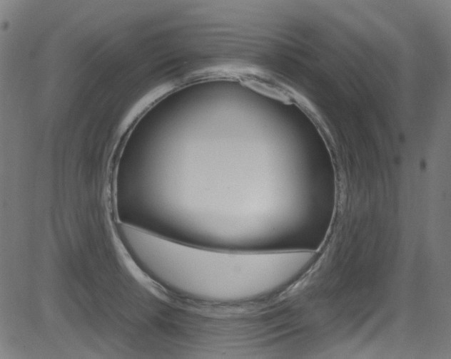 X0000083001042200702011204