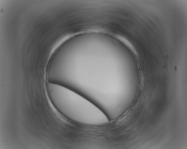 X0000083001047200702011204