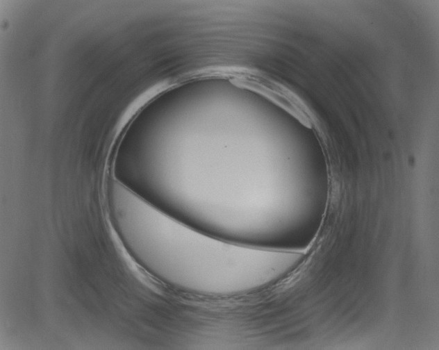 X0000083001050200702011204