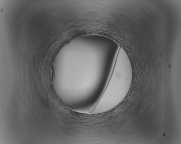 X0000083001057200702011204