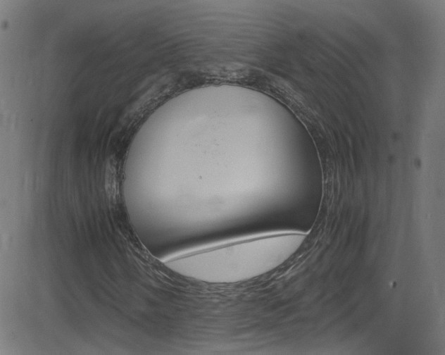 X0000083001058200702011204