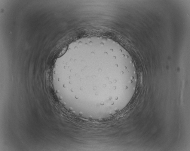 X0000083001059200702011204