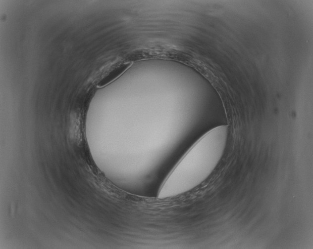 X0000083001060200702011203