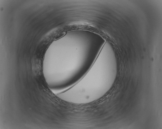 X0000083001062200702011203