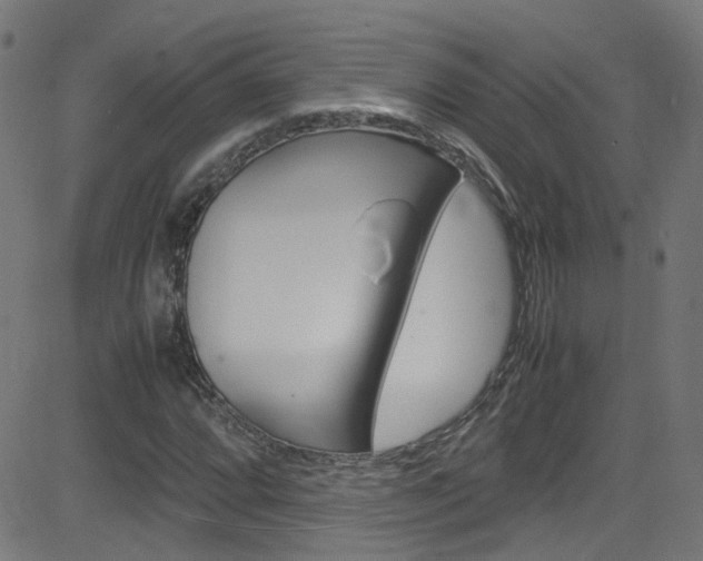 X0000083001064200702011203