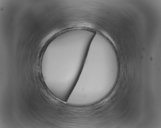 X0000083001071200702011203